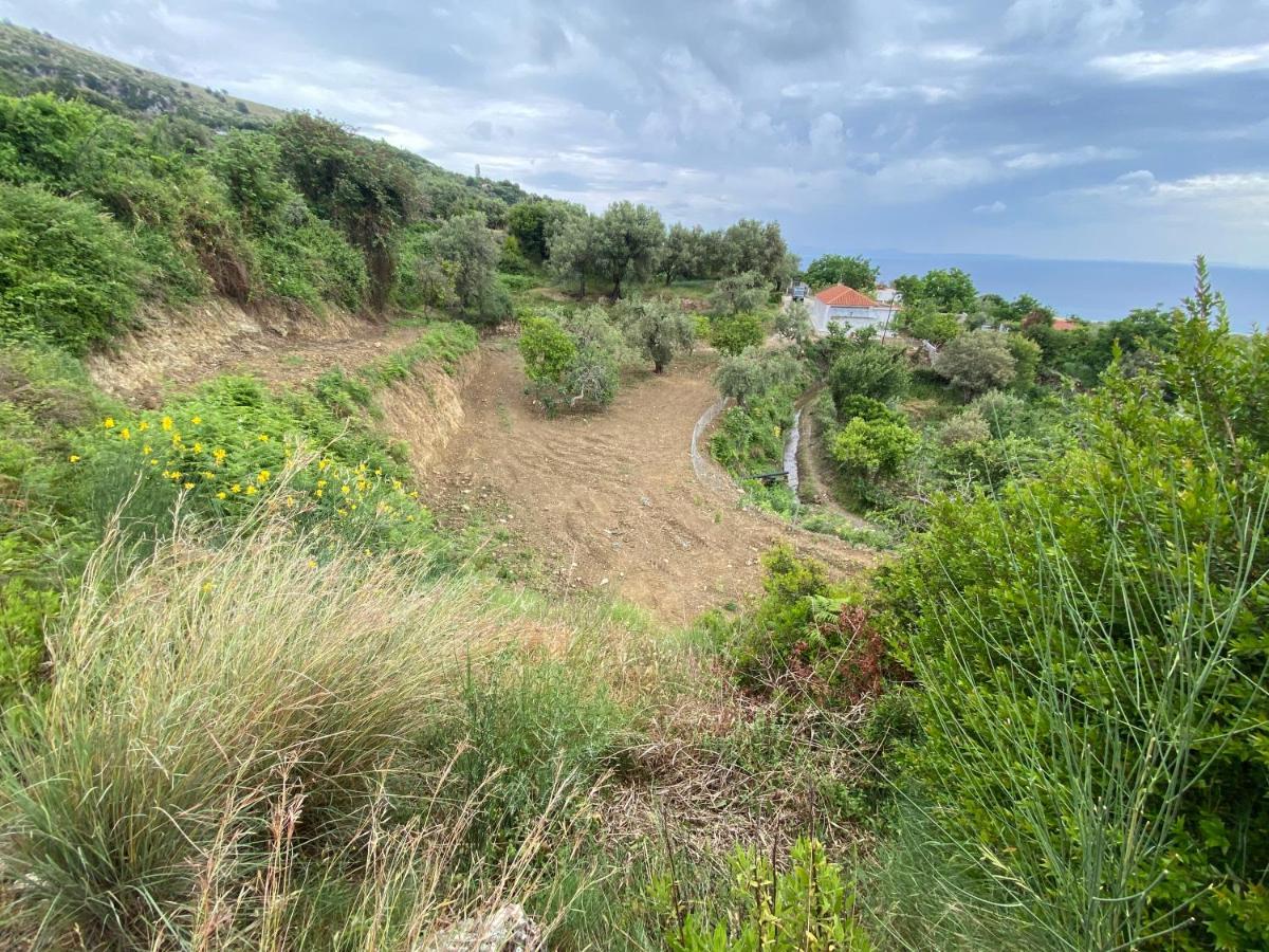 Maison Bellevue - 2 Bdrm Villa In Borsh Beach Εξωτερικό φωτογραφία
